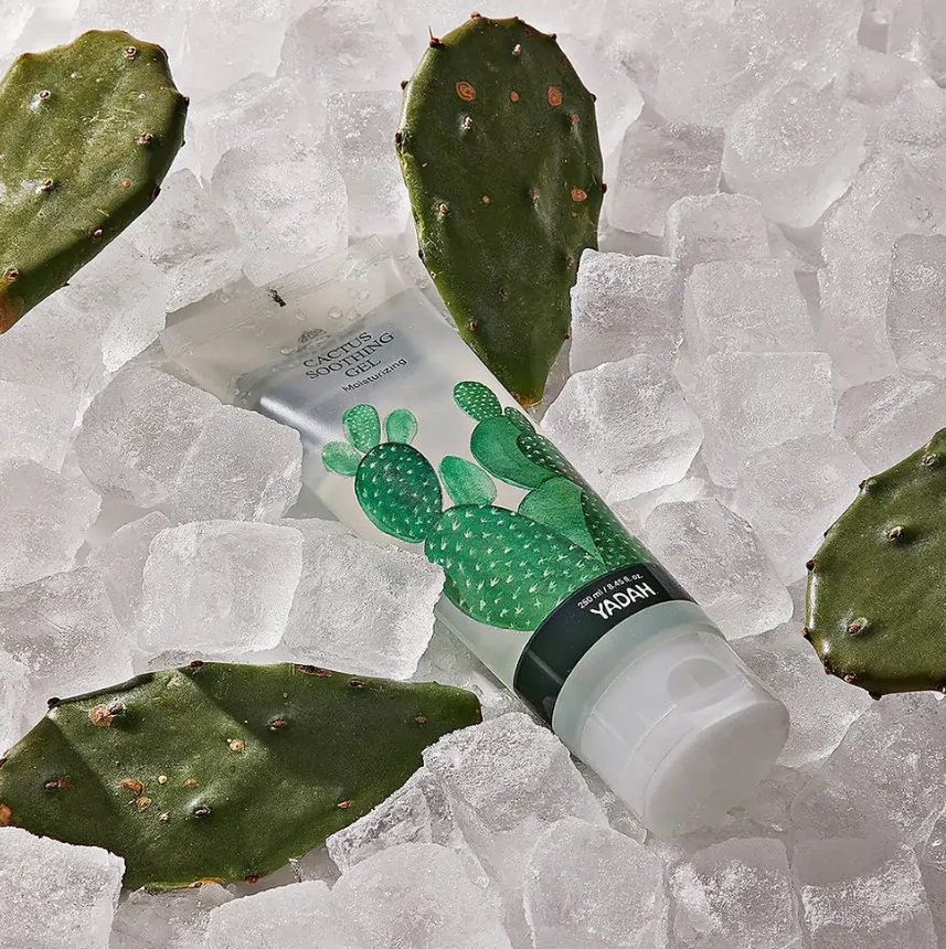 Yadah - Gel apaisant au Cactus - 105ml